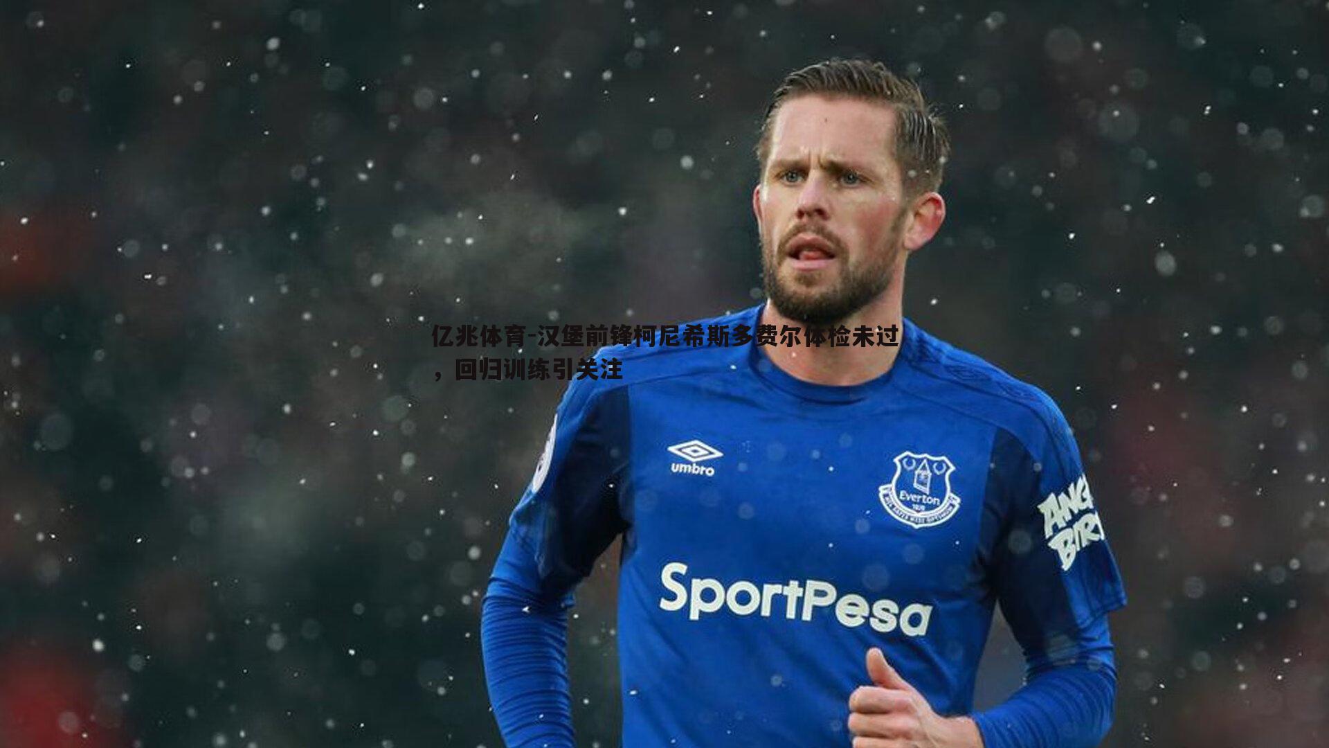 亿兆体育-汉堡前锋柯尼希斯多费尔体检未过，回归训练引关注